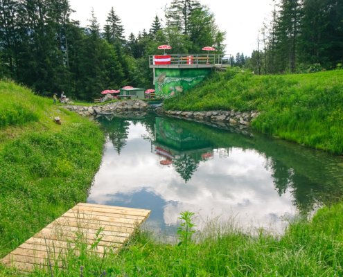 Kraftwerkseröffnung, Naturnahe Gestaltung Kraftwerk, Wasserkraftwerk neu, Kraftwerk Schoba, Kleinwasserkraftwerk
